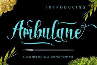 Ambulane: A Script Font for Editorial Design and Branding
