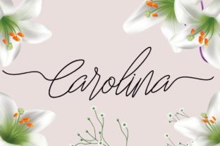 Carolina: The Script Font That Elevates Every Campaign