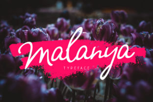 Malanya: The Font That Elevates Your Brand’s Visual Story